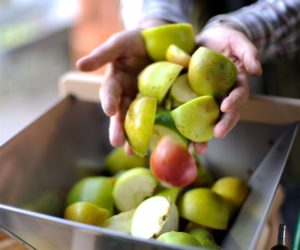 , Fruit crushing equipment